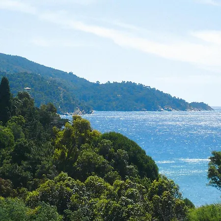 Lejlighed 2 Flat With Sea View In Du Bailli Canadel Sur *
